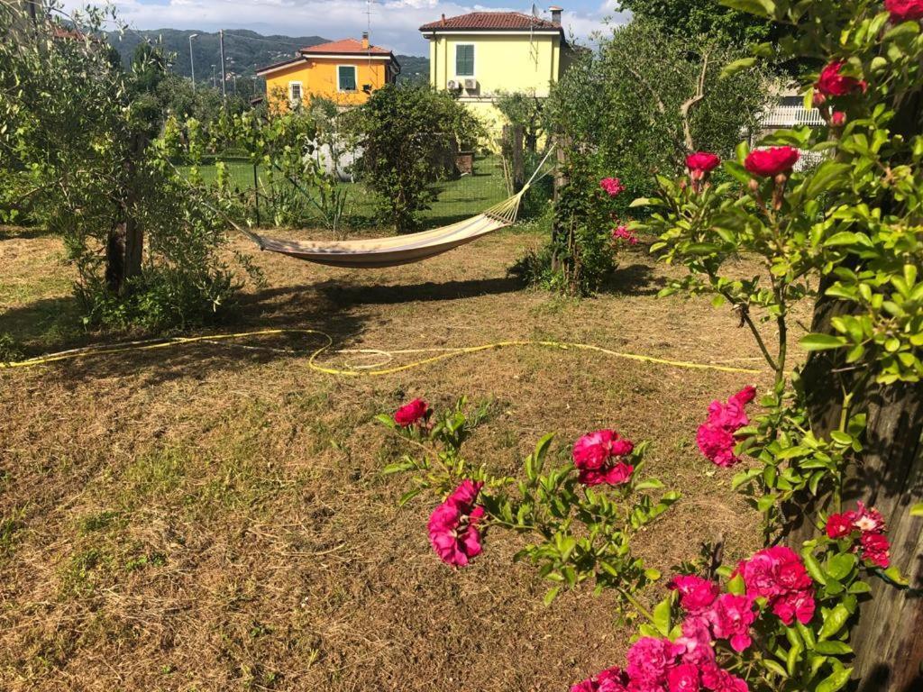 La Casa Di Ulivi Villa Piano di Follo Exterior photo
