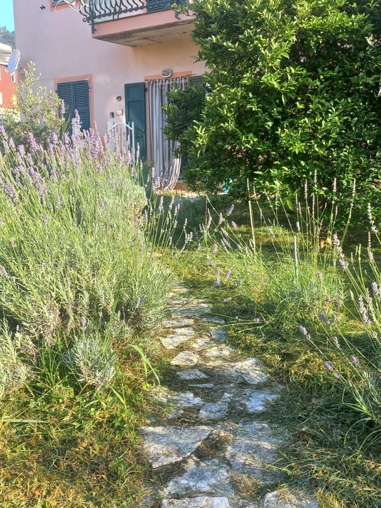 La Casa Di Ulivi Villa Piano di Follo Exterior photo